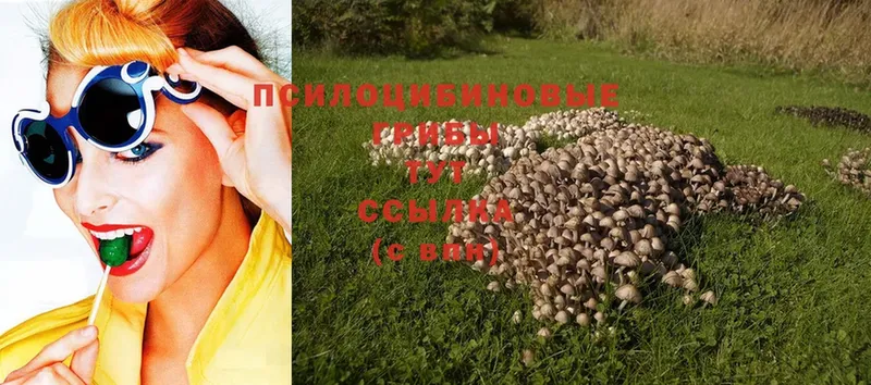 Галлюциногенные грибы MAGIC MUSHROOMS  omg ссылки  Прокопьевск 